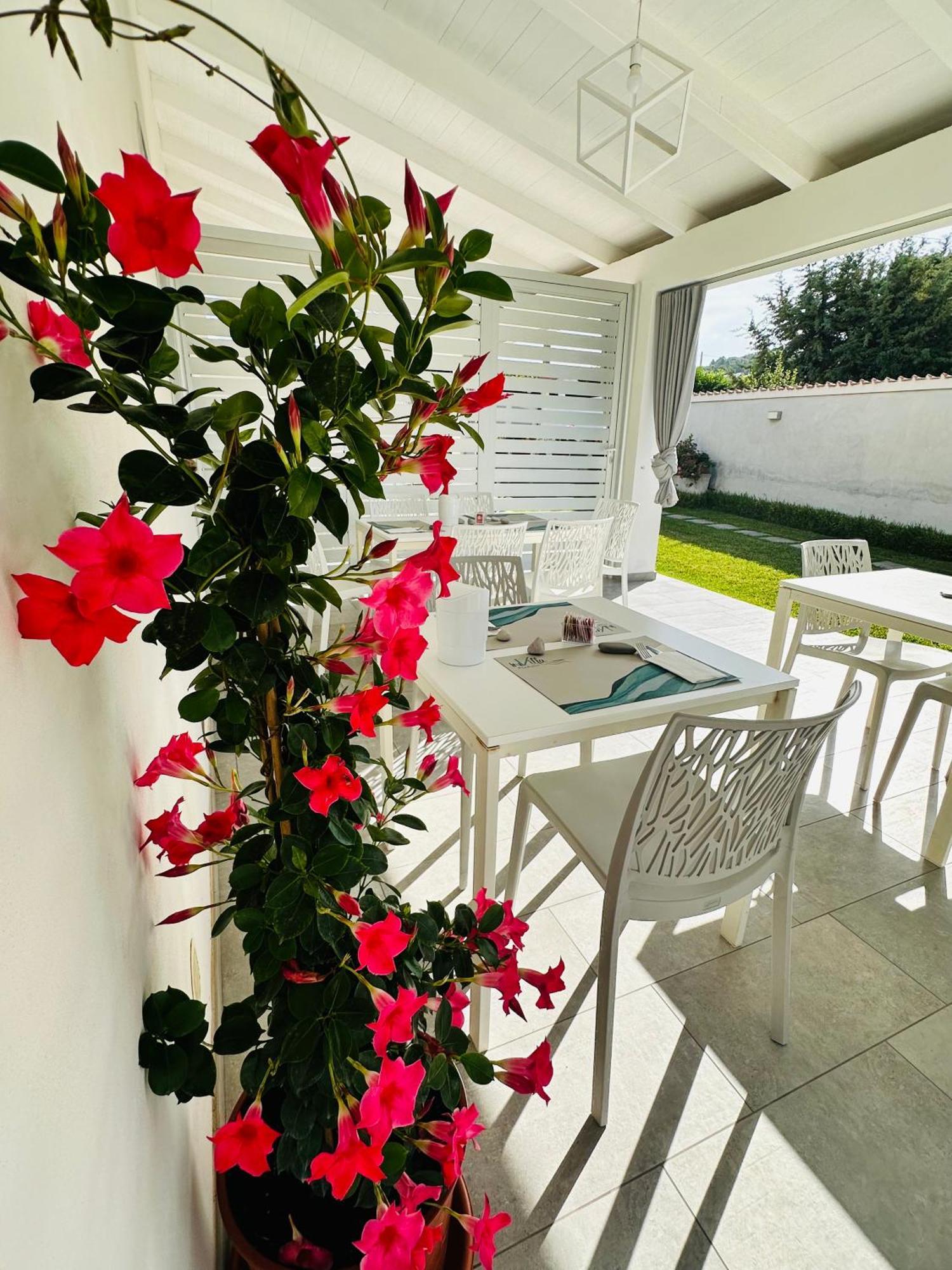 Invilla Bed&Breakfast - Quality Rooms Santa Maria di Castellabate Exterior foto